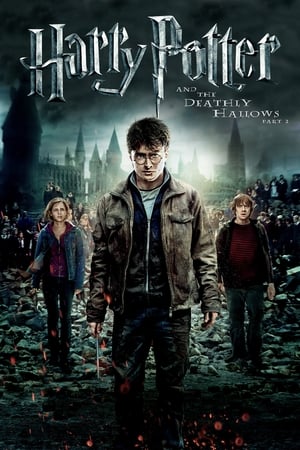 Harry Potter and the Deathly Hallows Part 2 (2011) Dual Audio [Hindi-Enlish] [140MB]