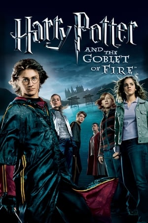 Harry Potter and the Goblet of Fire (2005) 100MB Dual Audio [Hindi-Enlish]