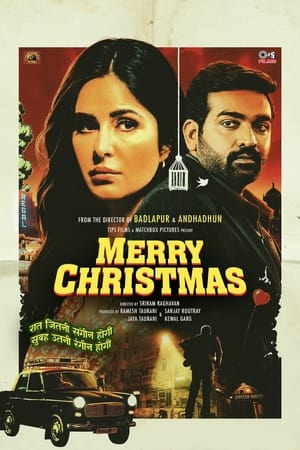 Merry Christmas 2024 Hindi HDTS 720p – 480p